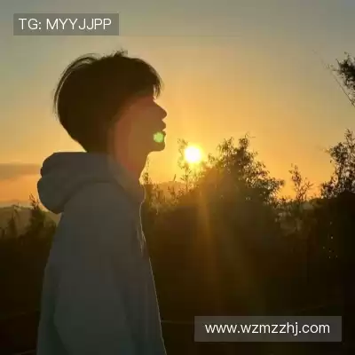 陆冶书